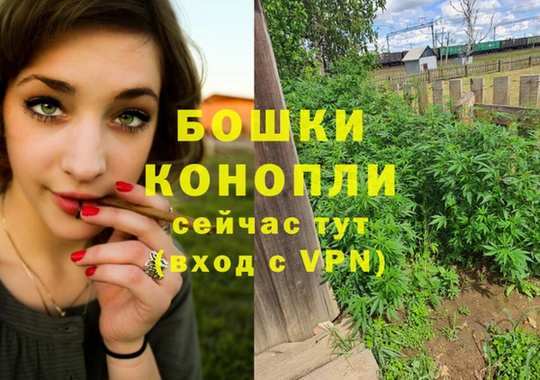 молекула духа Переславль-Залесский