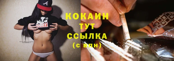 мяу мяу мука Пересвет