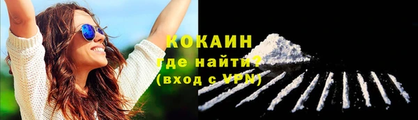 молекула духа Переславль-Залесский