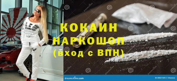 индика Шарыпово