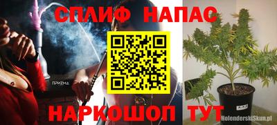 гидра Апрелевка