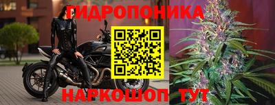 тгк Апшеронск