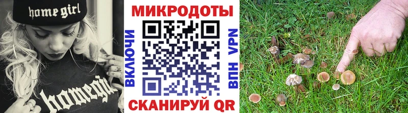 OMG   Барнаул  Псилоцибиновые грибы Magic Shrooms  наркошоп 