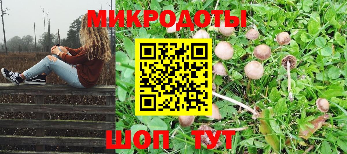 Галлюциногенные грибы мухоморы  Барнаул  цена   Псилоцибиновые грибы мицелий 